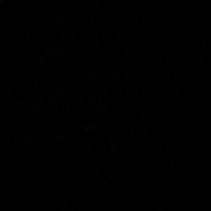 Meet your Posher, Jazmine